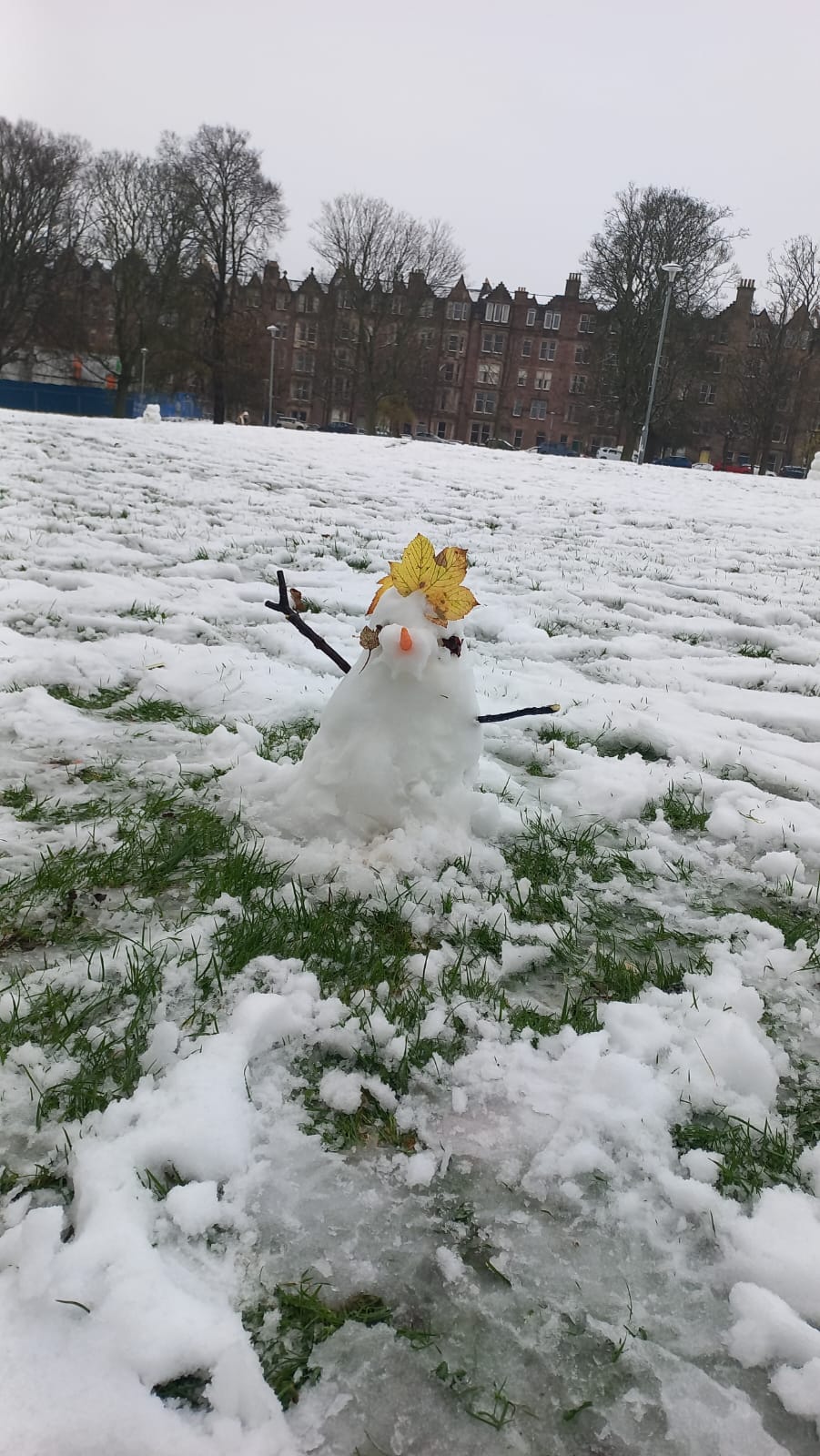 Snow